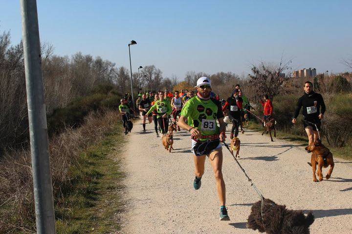 Guadalajara vibró con el mejor canicross de la provincia