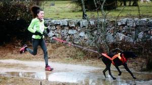 Perros y corredores llenarán el Parque del Henares en otra edición del Canicross de Guadalajara