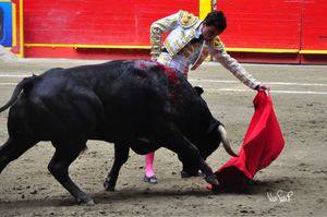El torero afincado en Fuentelencina Juan de Castilla toma la alternativa en Medell&#237;n