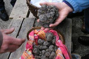 La Diputación de Guadalajara se implica en la VIII Feria de la Trufa en Molina de Aragón