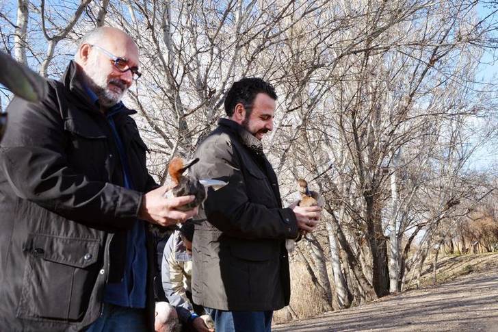 Las diferentes especies de patos se han soltado en la laguna principal de la Reserva Ornitológica de Azuqueca