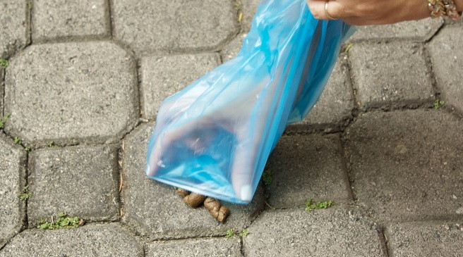 De 100 a 1.500 euros por no recoger los excrementos de su perro