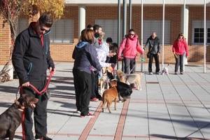 Gran respuesta popular al Taller de Adiestramiento Canino en Cabanillas