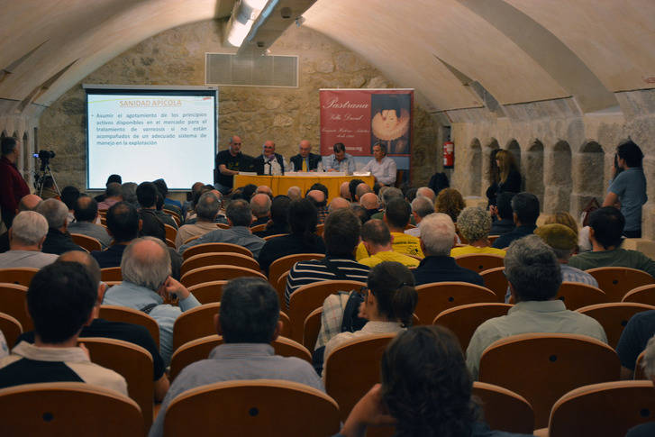 Latre incide en la importancia de seguir apoyando iniciativas como la Feria Apícola de Pastrana