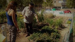Una jornada t&#233;cnica sobre sistemas de cultivo da inicio a la temporada de huertos urbanos en Valdeluz