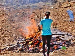 Yebes busca voluntarios para destruir las plantas de ailanto que han invadido el bosque de Valdenazar