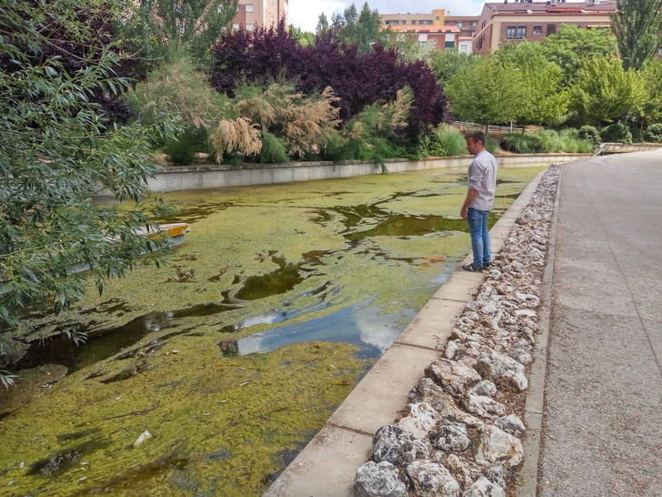 Cs Guadalajara solicita una actuación en la lámina de agua y el entorno del Barranco del Alamín