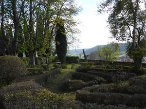 La Universidad de Alcalá y Brihuega convocan una cumbre de expertos sobre miel, lavanda y polinización