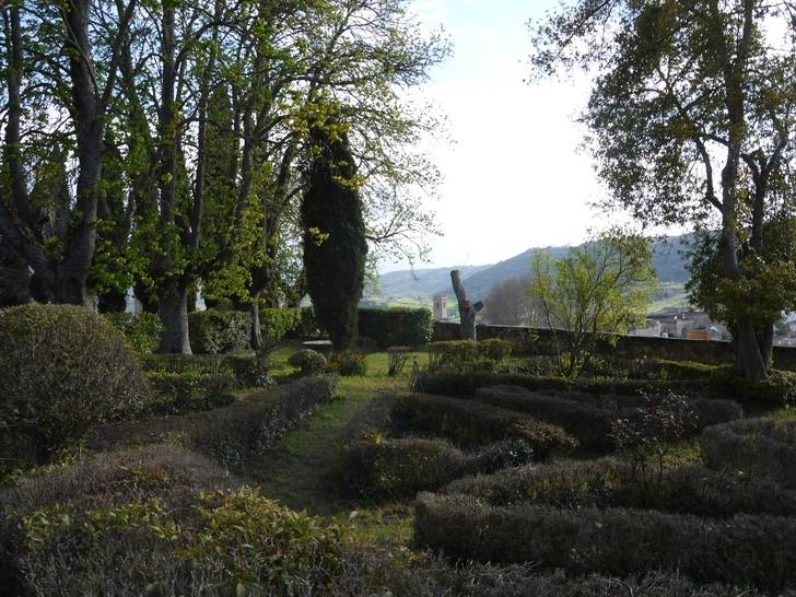 La Universidad de Alcalá y Brihuega convocan una cumbre de expertos sobre miel, lavanda y polinización