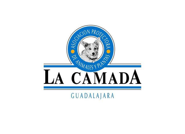 La Camada se ve desbordada y hace un llamamiento a adopciones responsables