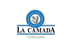 La Camada se ve desbordada y hace un llamamiento a adopciones responsables