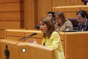 Marta Valdenebro pide en el Senado mejorar la tramitaci&#243;n de adopciones internacionales