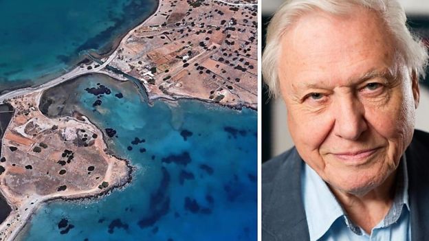 La nueva versión de Google Earth permite disfrutar de recorridos interactivos con la voz del naturalista británico David Attenborough