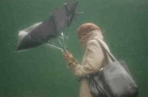 La provincia de Guadalajara, en alerta este jueves por fuertes vientos