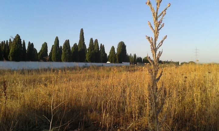 Denuncian los retrasos amañados por el Gobierno azudense en la tramitación del expediente del tanatorio