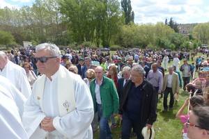 Miles de personas acuden a la 53ª Romería en honor de la Virgen de la Salud en Barbatona