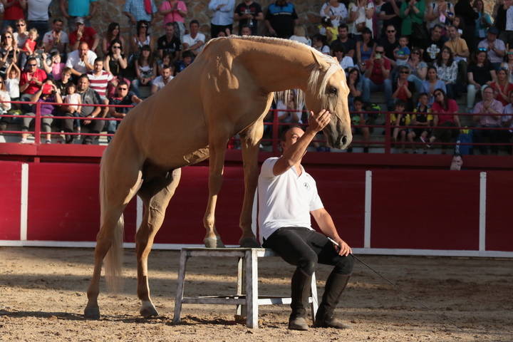 Toño Serrano, el encantador de caballos, estará en Ecualtur 2017