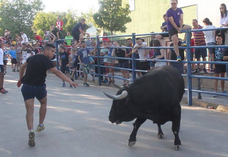 Más de 3.000 personas en el recorrido en el primer encierro de Fiestas de Cabanillas