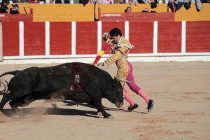 Alcaldes de Guadalajara, "entristecidos" ante la decisión de la Junta que hace peligrar sus festejos taurinos