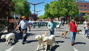 Se manifiestan en Guadalajara para exigir el cese de tres t&#233;cnicos de la Junta que se creen &#34;amos y se&#241;ores&#34;