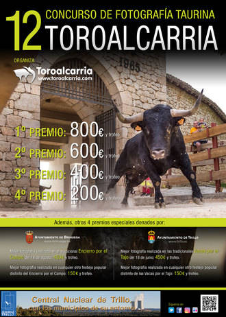 Toro Alcarria vuelve a buscar la mejor historia taurina contada en clave gráfica