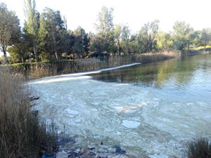 Nuevos vertidos de materia orgánica que se originan en Madrid y terminan pasando por Toledo