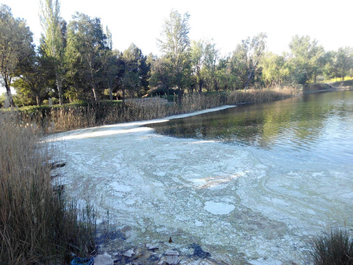 Nuevos vertidos de materia orgánica que se originan en Madrid y terminan pasando por Toledo