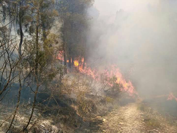 El Servicio de Extinción de Incendios comunica que los trabajos se refuerzan para cerrar el perímetro en Yeste