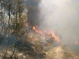 El Servicio de Extinción de Incendios comunica que los trabajos se refuerzan para cerrar el perímetro en Yeste 