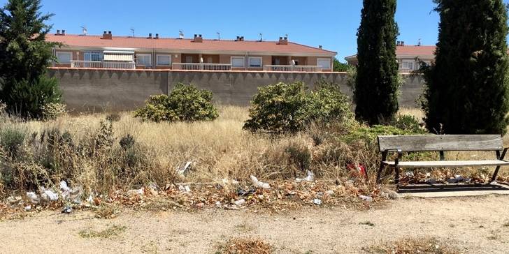 El PP de Villanueva exigirá medidas urgentes para acabar con la suciedad que anida en las calles