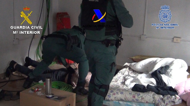 Desarticulado en Guadalajara parte de un grupo criminal dedicado al cultivo ilegal indoor de marihuana para su exportación a Reino Unido