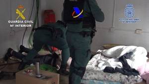 Desarticulado en Guadalajara parte de un grupo criminal dedicado al cultivo ilegal indoor de marihuana para su exportación a Reino Unido