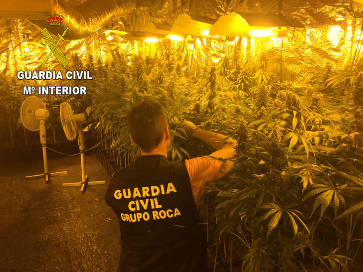 La Guardia Civil detiene a tres personas por cultivar marihuana en Yebes
