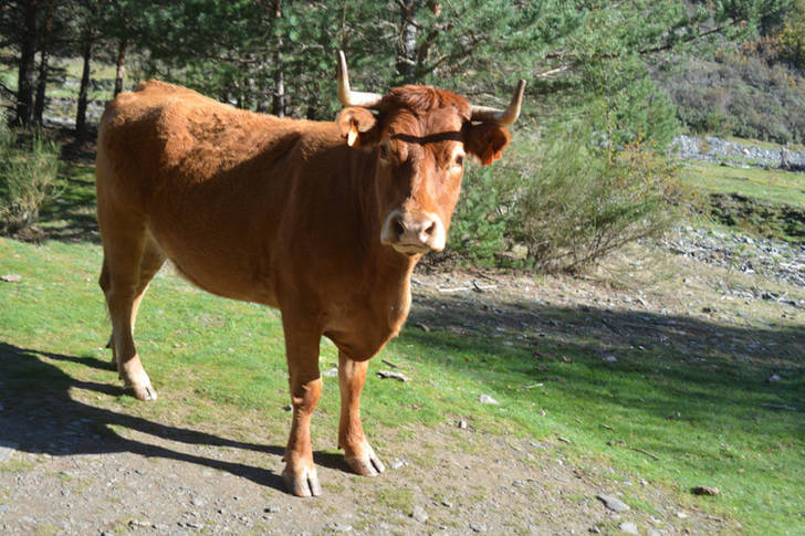 APAG muestra su preocupación por el incremento de casos de tuberculosis en la Sierra Norte