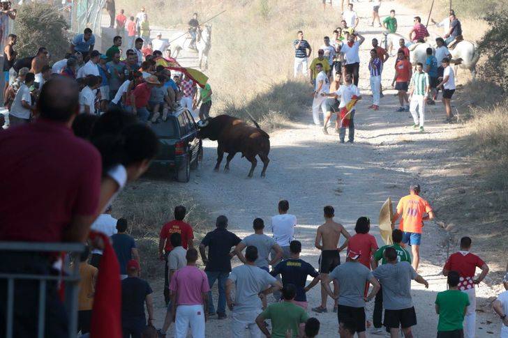Siete personas atendidas en el Encierro por el campo de Brihuega