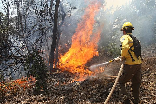 Controlados los dos incendios forestales en Bocigano y El Cardoso de la Sierra