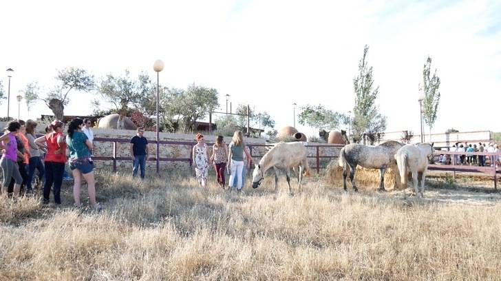 Más de 24 mujeres participan en las dos primeras sesiones grupales del programa Impulsa Mujer Rural de la Diputación