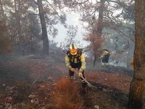 El dispositivo de extinci&#243;n de incendios forestales ha conseguido cerrar el Balc&#243;n de Pilatos en Yeste