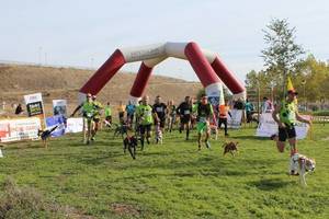 Comienza el IX Circuito Provincial de Canicross con gran participación en Yebes-Valdeluz