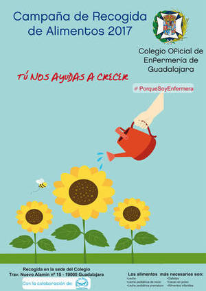 El Colegio de Enfermería organiza una campaña de recogida para el Banco de Alimentos