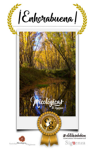 Eva Bravo López gana el I Concurso Fotográfico #ElOtoñoSabeBien