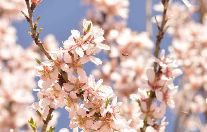 Laura Corral gana el concurso de fotografía de Quer