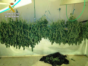 48 kilos de marihuana y 78 gramos de cocaína llevan a la cárcel a cuatro personas en Torrejón del Rey