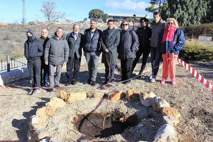 Yebes se suma al proyecto Un olmo, mil historias con la plantación de un ejemplar inmune a la grafiosis