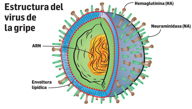Desarrollan un medicamento que aseguran que cura la gripe...¡en un día!