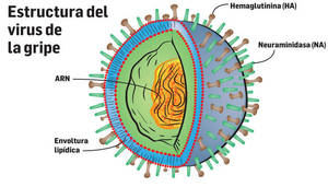 Desarrollan un medicamento que aseguran que cura la gripe...¡en un día!