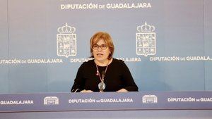 Enjuto se pregunta si la Junta considera que con un presupuesto de 9.200 millones de euros, aportar 5.000 euros es apoyar al sector apícola de nuestra región