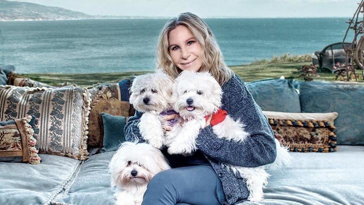 Barbra Streisand revela que clonó dos veces a su perro