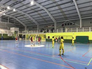 Cadete y juvenil de FS Pozo de Guadalajara lograron importantes victorias