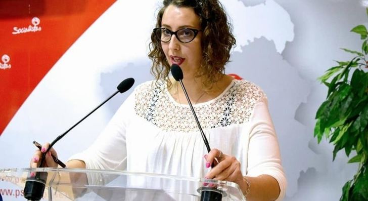 El PSOE reprocha a Román su desinterés por los problemas del servicio de Cercanías